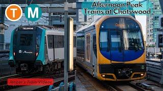 Sydney Trains Video 146 / Sydney Metro Video 3 - Afternoon Peak at Chatswood