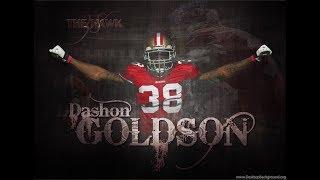 Dashon Goldson || "Tunnel Vision" ᴴᴰ || NFL Career Highlights Mix