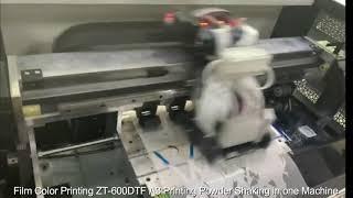 ZT 600DTF A3 Printing & Powder Shaking & Roll in one machine to print on PET Film with DTF INK