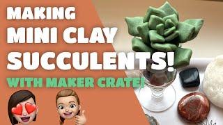 Making a Clay Succulent Garden?! A Maker Crate unboxing and project review!