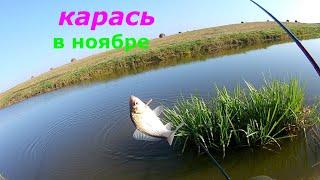 КАРАСЬ В НОЯБРЕ! На что можно поймать осенью карася!