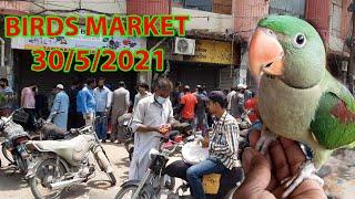 Lalukhet Sunday Bird Market | 30 May Bird Market At Karachi Market Updates -  Hindi/Urdu