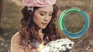 XIN ANH QUAY VỀ BÊN EM REMIX - ALAN WALKER - TĂNG QUỲNH MY - DJ LÊ ĐÔNG