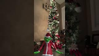Festive Christmas Lights Display #ginch #tree