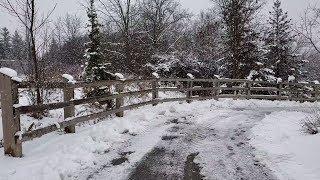 Strolling in the park on a snowy day in Canada