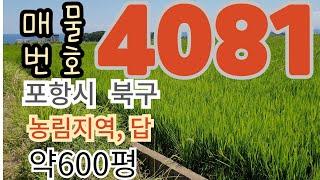 600여평 농지(답,농로 접), 바다 인근.#포항부동산  #포항땅#거산공인중개사사무소