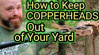 How to Keep COPPERHEADS Out of Your Yard