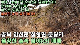 괴산임야,괴산군임야,충북 괴산군 청안면 임야 15,868㎡(4,800평) 매매 6,000만원