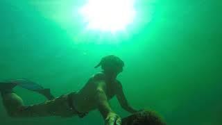 30A REEF FREEDIVING