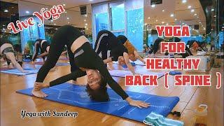 Live Yoga Session || Yoga For Healthy Back ( Spine ) || Yoga With Sandeep