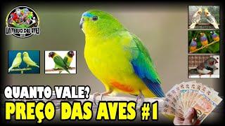 QUANTO VALE MEU PÁSSARO? PREÇO DAS AVES #PARTE 1