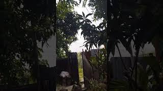 গ্রামে যাওয়ার আনন্দ।