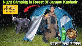 भालू रात को Tent को Smell कर रहा था Wild Night Camping in India's Dangerous Forest of Jammu Kashmir