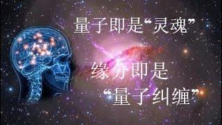 量子即是灵魂，缘分的本质是量子纠缠