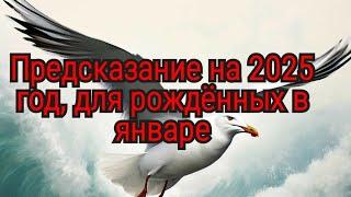 Для январских на 2025!!!Смотреть всем, есть ценные подсказки