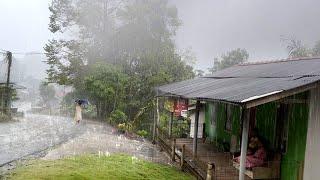 Walking in the rain of Great Thunder in the village Red soil || Very refreshing and soothing