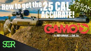 25 Caliber Gamo Magnum - HOW TO MAKE IT ACCURATE? BREAK IT IN!