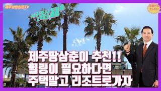 제주도세컨하우스  서귀포호텔형리조트 및 제주도주택용 이나  제주도힐링숙소 로 추천합니다