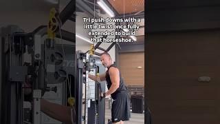 Horseshoe Triceps #fitfam #gym #goals #journey #triceps #athletes #gymlife #fitnesstips #fit #arms