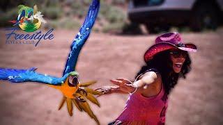 Hiking With MACAWS!!! | Jinx & Sunshine