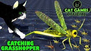 CAT GAMES - CATCHING GRASSHOPPER! Entertainment Video for Cats to Watch & Enjoy (4K 60 FPS)