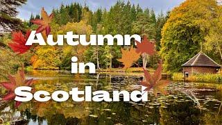 Autumn in Scotland - Perthshire | Staying Local