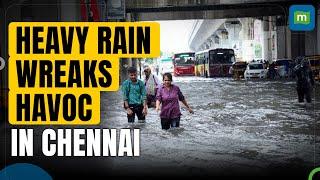 Chennai Rain: Orange alert issued by IMD for several districts in Tamil Nadu