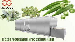 Automatic Frozen Vegetable Processing Plant|Frozen Okra Manufacturing Process