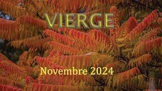 VIERGE - Novembre 2024 ~ Introspection & méditation