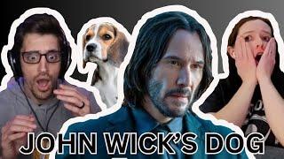 THEON GREYJOY KILLS JOHN WICK'S DOG!!!Fans React to john wick||Movie Reaction Compilation