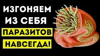 Супер-еда против ПАРАЗИТОВ! Эти 10 Продукты Изгонят Любых Глистов