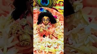 aapki tarah Hi Mera ek pyara Sa beta hai ️ #krishna #krishnadk #beta #aashirwad #gopala #kanhaiya
