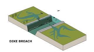 Dike Breach - a potential solution to reduce flood risk and improve habitat