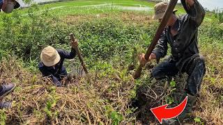 DA VÀ RẮN ĐỘC | TGSB #1150