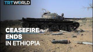 Fighting along border of Tigray region shatters ceasefire