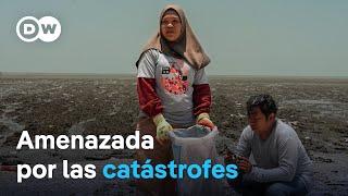 Deforestación e inundaciones: los desastres medioambientales en Indonesia | DW Documental