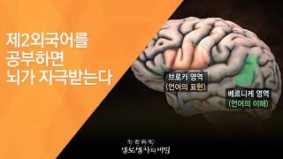 제2외국어를 공부하면 뇌가 자극받는다 - (2011.2.19_362회 방송)_명의들의 쉬운 건강법