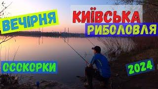 вечірня риболовля в києві #риболовля #фідер #лящ