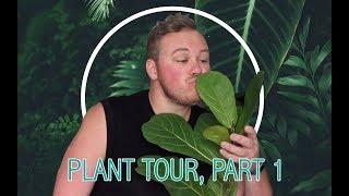 Plant Tour, Part 1