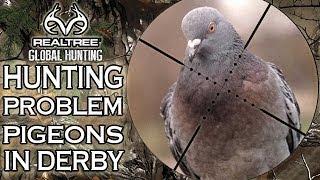 Pigeon Shooting: Hunting woodpigeons over decoys