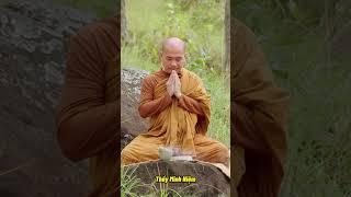 Luật Hấp Dẫn Và Luật Nhân Quả - Thầy Minh Niệm  Ngôi Nhà An Nhiên #ngoinhaannhien #thayminhniem