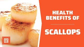 Health benefits of Scallops: The tastiest and healthiest seafood you can eat!