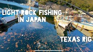 Light Rock Fishing in Japan - Texas Rig, Seven-Band Grouper