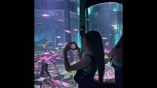 [free for profit] wintfye + vlm pluggnb type beat - "aquarium"