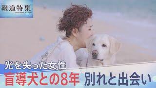 「いつまでもいつまでも大好きです」引退する盲導犬への願い　8年寄り添った“相棒”との別れ　最後の日も笑顔で【報道特集】｜TBS NEWS DIG