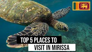 Top 5 places to visit in Mirissa | Sunnysl Travels