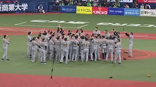 阪神タイガース日本一！！！！