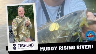 Muddy Rising River Smallmouth Bass! #fishing #bassfishing #fishingvideo