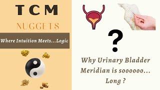 Why Urinary Bladder Meridian is So Long (67 Acu Points) ?