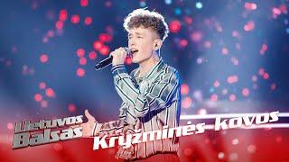 Orestas Vyšniauskas - Bruises | Cross Battles | The Voice Lithuania